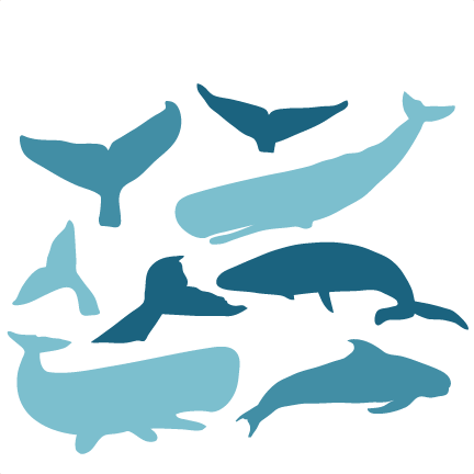 Download Whale SVG scrapbook cut file cute clipart files for ...